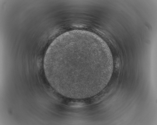 X0000113240559200910221103