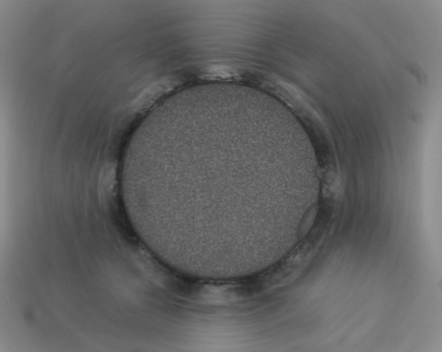 X0000113240560200910221103