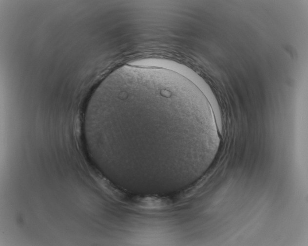 X0000113240562200910221103