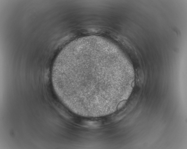 X0000113240563200910221103