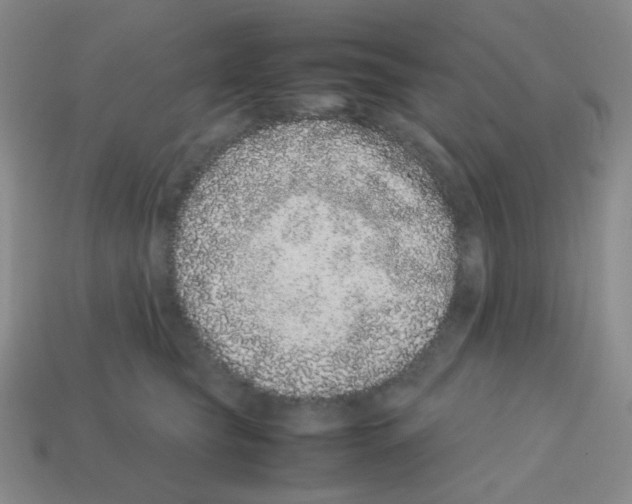 X0000113240565200910221103
