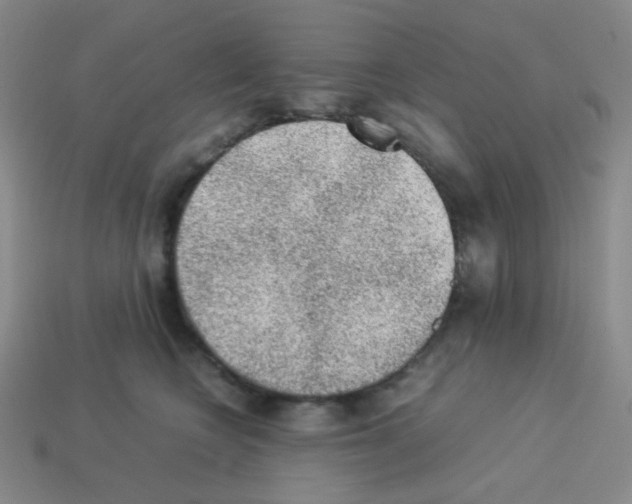 X0000113240566200910221103