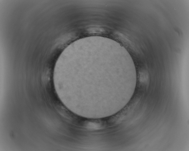 X0000113240567200910221103