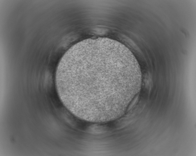 X0000113240568200910221103