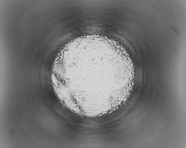 X0000113240569200910221103