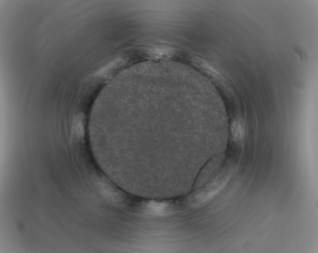X0000113240570200910221103