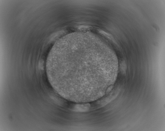 X0000113240571200910221103