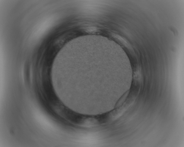 X0000113240572200910221103