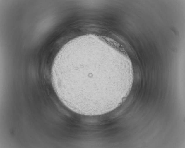 X0000113240573200910221103