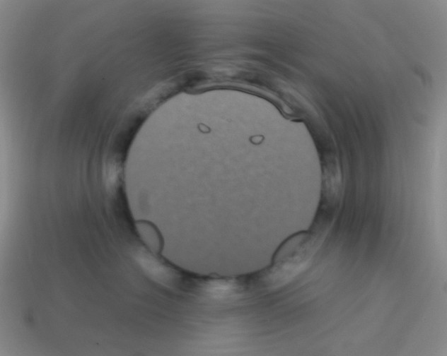 X0000113240574200910221103