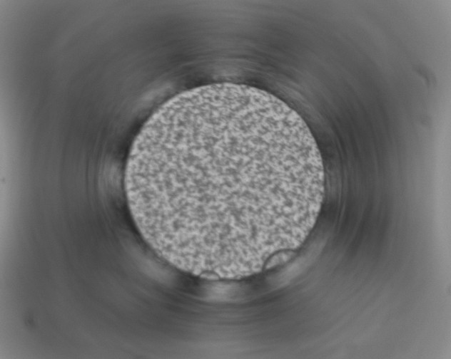 X0000113240575200910221103