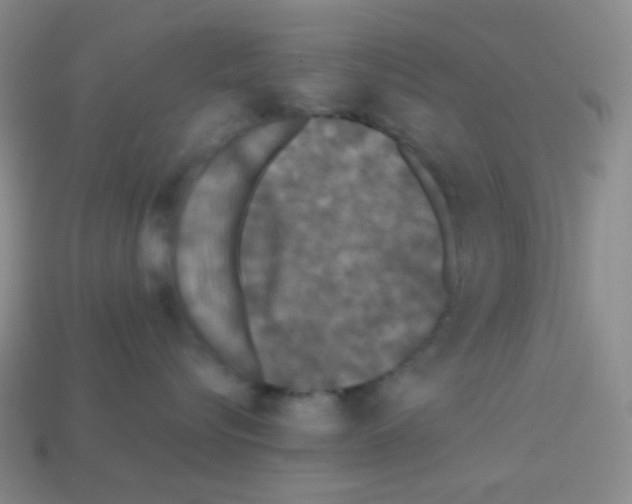 X0000113240576200910221103