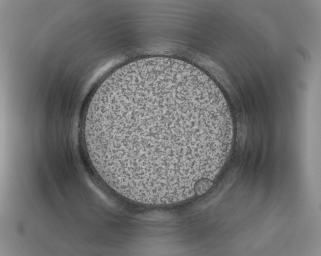X0000113240578200910221102