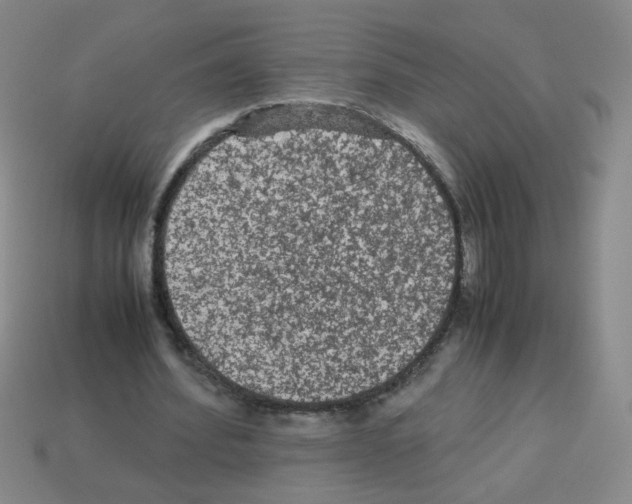 X0000113240580200910221102