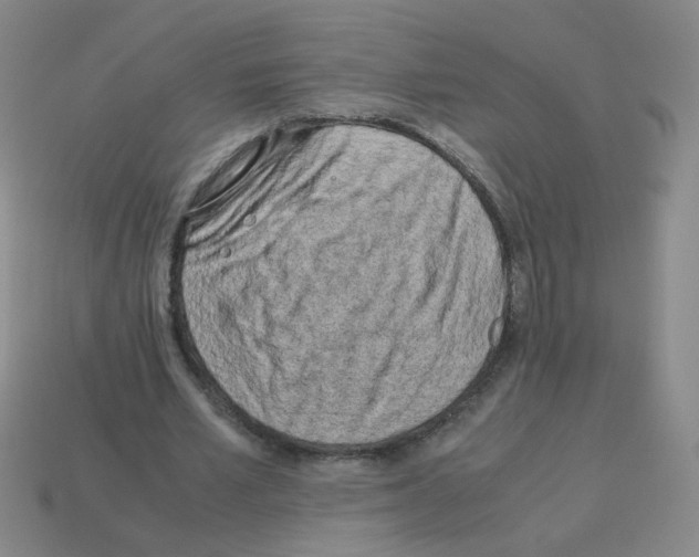 X0000113240581200910221102