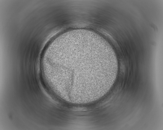 X0000113240582200910221102