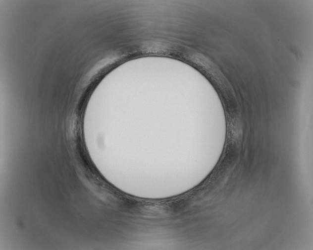 X0000113240583200910221102