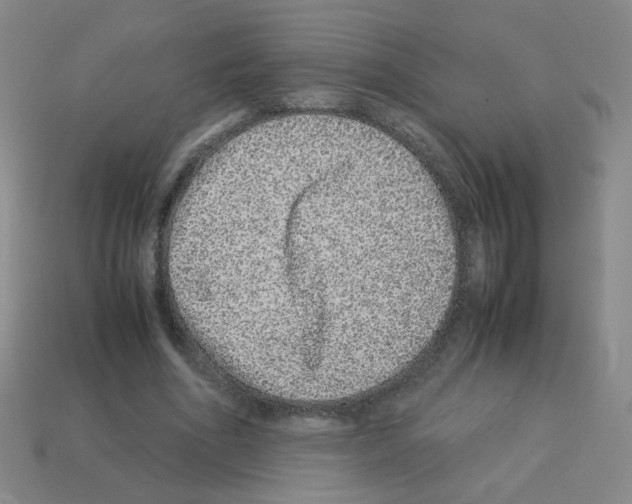 X0000113240586200910221102