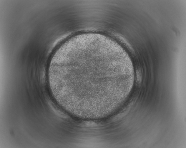 X0000113240588200910221102