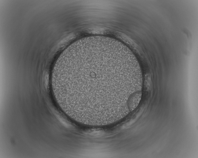 X0000113240589200910221102