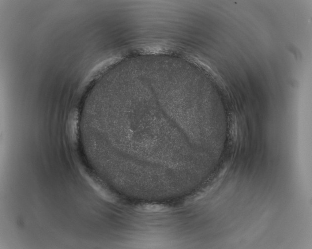 X0000113240590200910221102