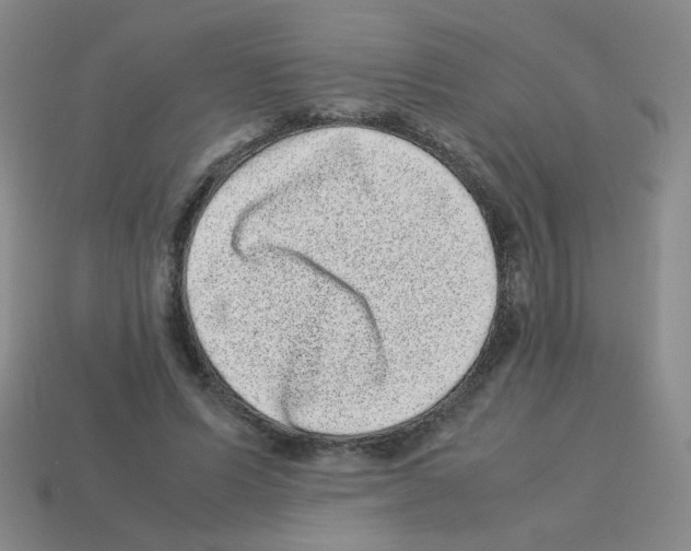 X0000113240591200910221102