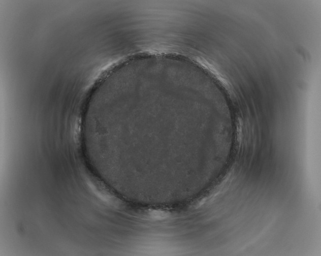 X0000113240592200910221102