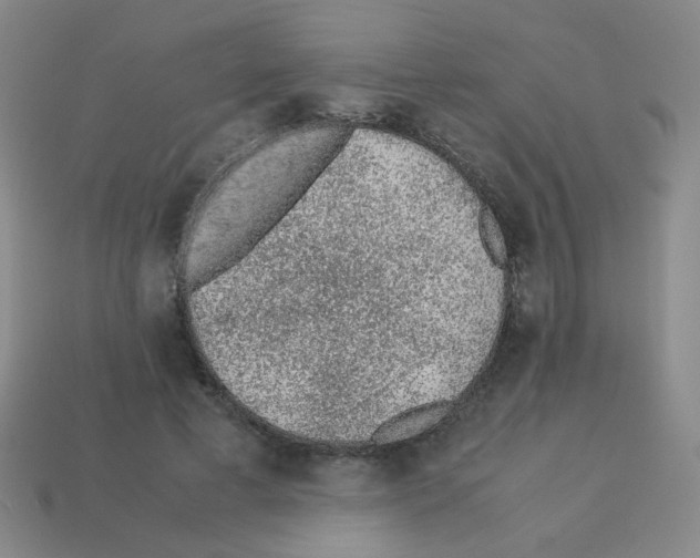 X0000113240593200910221102