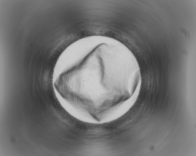 X0000113240594200910221102