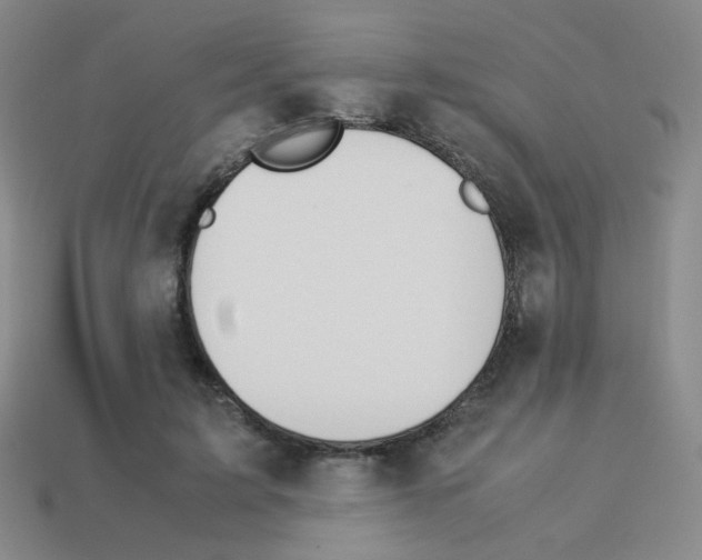 X0000113240595200910221102