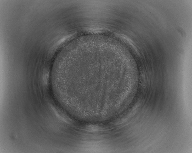 X0000113240596200910221102