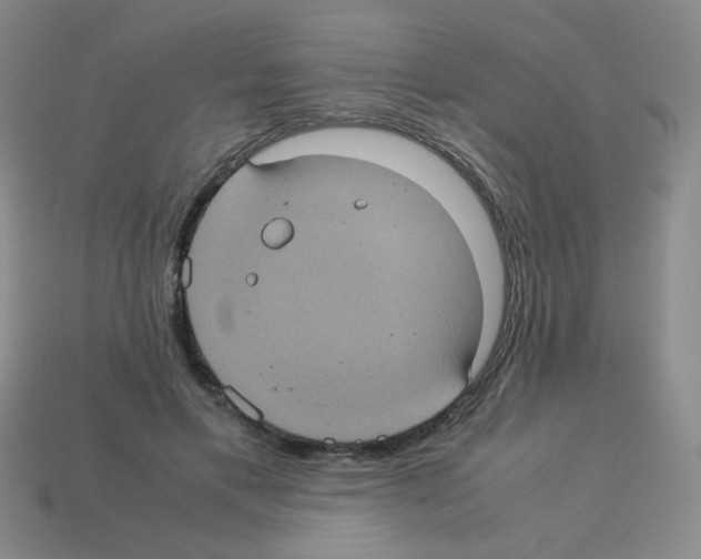 X0000113240597200910221102