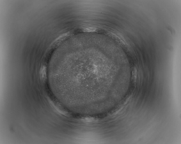 X0000113240598200910221102