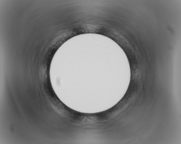 X0000113240599200910221102