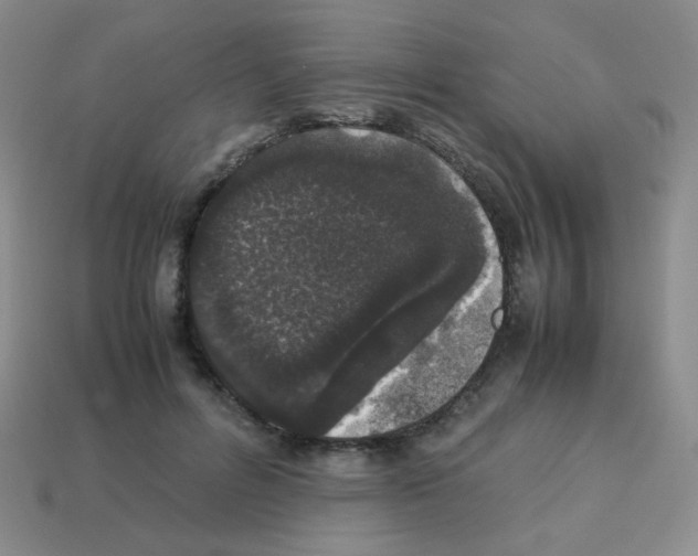 X0000113240600200910221102