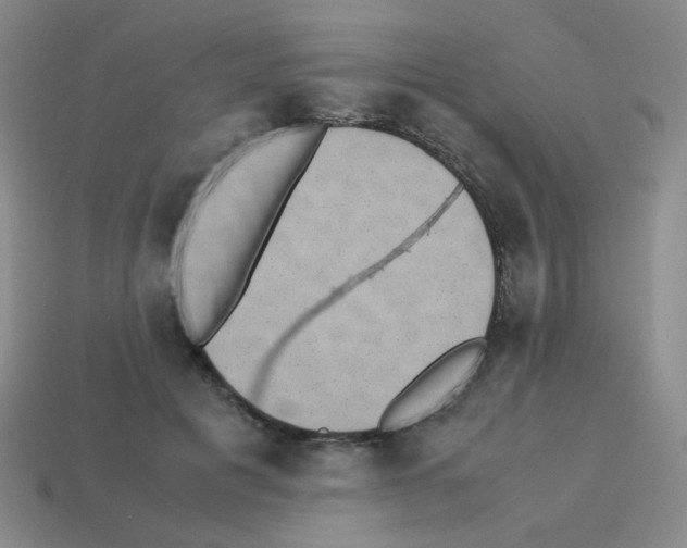 X0000113240601200910221102