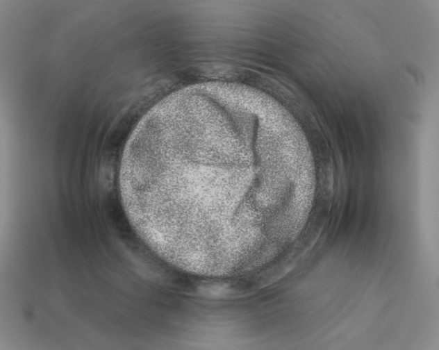 X0000113240602200910221102