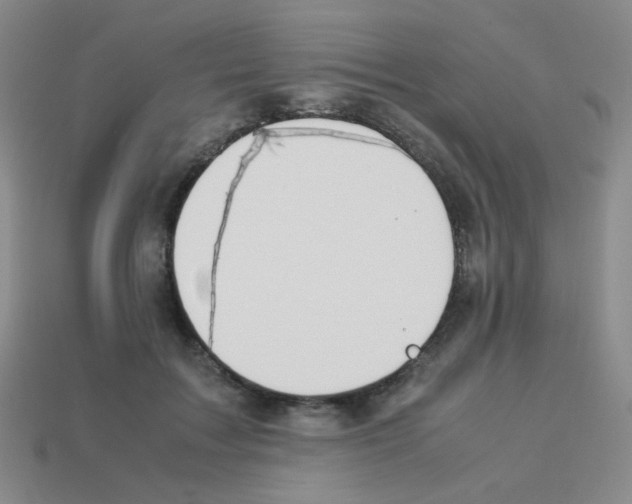 X0000113240603200910221102