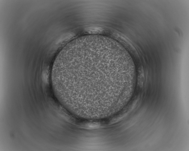 X0000113240604200910221102