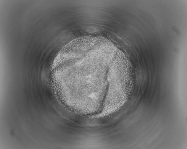 X0000113240606200910221102