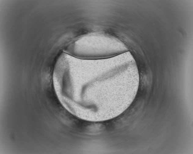 X0000113240609200910221102