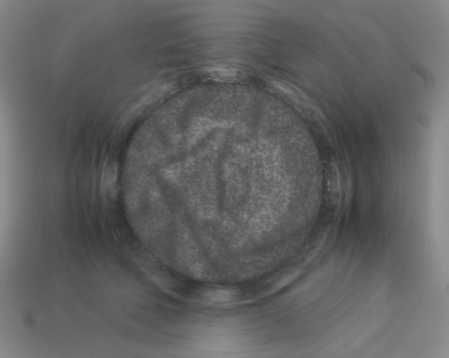 X0000113240610200910221102