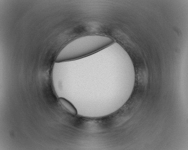 X0000113240611200910221102