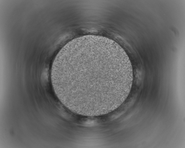 X0000113240612200910221102