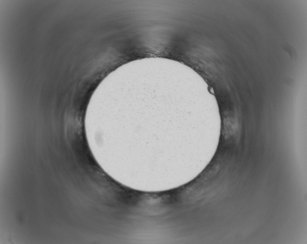 X0000113240613200910221102