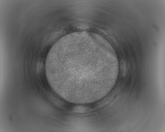 X0000113240614200910221102