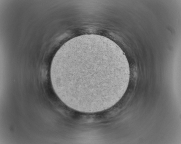 X0000113240615200910221102