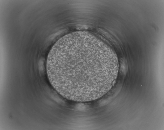 X0000113240616200910221102