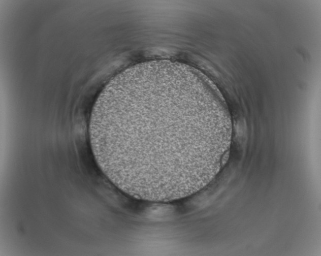 X0000113240617200910221102