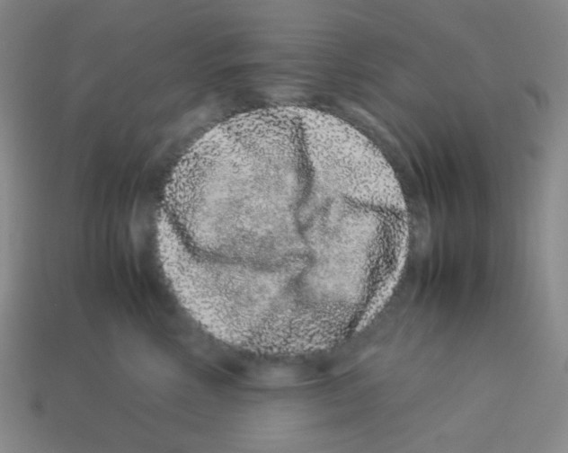 X0000113240618200910221102